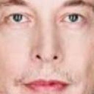 elongated_musk